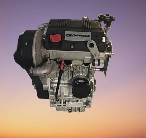 Motore lombardini ldw502 - motore,